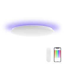 Yeelight - LED RGB Pritemdomas vonios šviestuvas ARWEN 450C LED/50W/230V IP50 CRI 90 + nuotolinio valdymo pultas Wi-Fi/BT