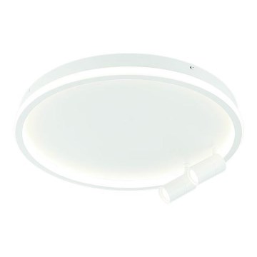 Zambelis 22015 - LED reguliuojamas lubų šviestuvas LED/71W/230V baltas