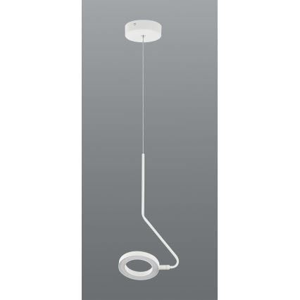 Zambelis 22044 - LED reguliuojamas šviestuvas ant laido LED/7W/230V CRI90 balta