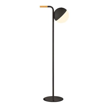 Zambelis E232 - LED reguliuojamas lauko šviestuvas LED/1,5W/5V IP54 juodas