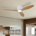 ZEVENTI - LED dimeriuojamas lubinis ventiliatorius VENTORA LED/24W/230V 3000/4000/6000K Wi-Fi Tuya balta/ąžuolas + nuotolinis valdymas