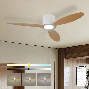 ZEVENTI - LED dimeriuojamas lubinis ventiliatorius VENTORA LED/24W/230V 3000/4000/6000K Wi-Fi Tuya balta/ąžuolas + nuotolinis valdymas