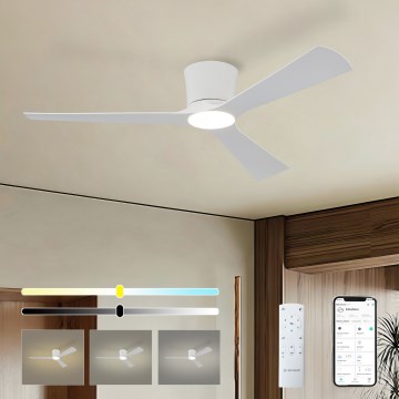 ZEVENTI - LED dimeriuojamas lubų ventiliatorius AUREX LED/24W/230V 3000/4000/6000K Wi-Fi Tuya balta + nuotolinis pultas