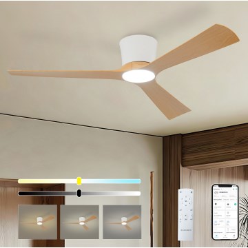 ZEVENTI - LED reguliuojamo apšvietimo lubinis ventiliatorius AUREX LED/24W/230V 3000/4000/6000K Wi-Fi Tuya balta/ąžuolas + nuotolinis pultas