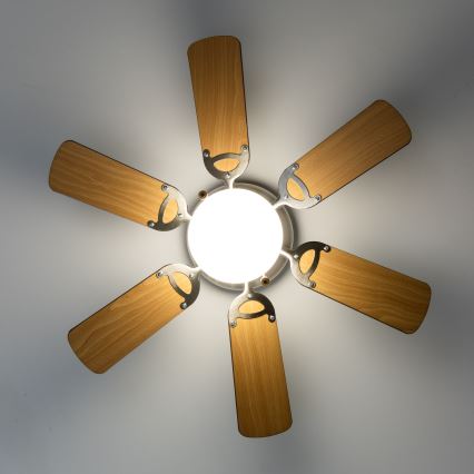 ZEVENTI - Lubinis ventiliatorius GALDANA 1xE27/60W/230V ruda/smėlio spalva