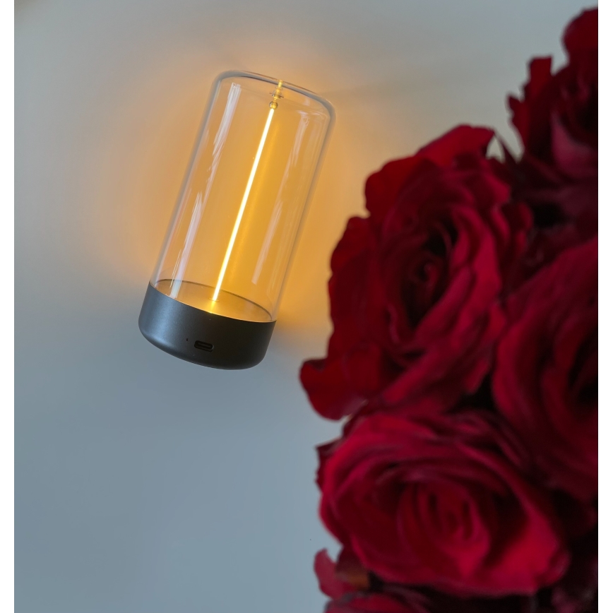 Zuma Line - LED Pritemdomas įkraunamas stalinis šviestuvas LED/0,5W/230V juoda IP54