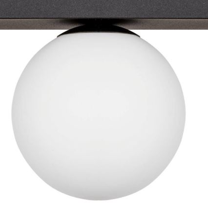 Zuma Line - Lubinis šviestuvas 1xG9/8W/230V juoda