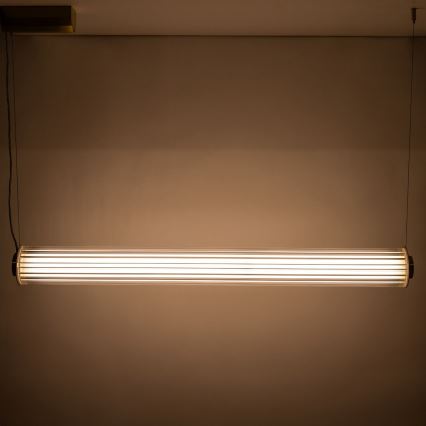 Zuma Line - reguliuojamas LED pakabinamas šviestuvas ant laido LED/39W/230V 2700-6500K auksinis + su nuotoliniu valdymu