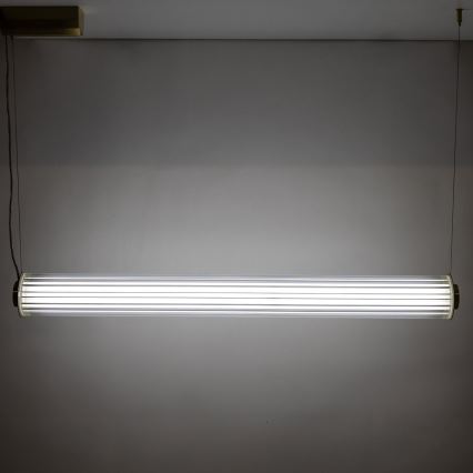 Zuma Line - reguliuojamas LED pakabinamas šviestuvas ant laido LED/39W/230V 2700-6500K auksinis + su nuotoliniu valdymu