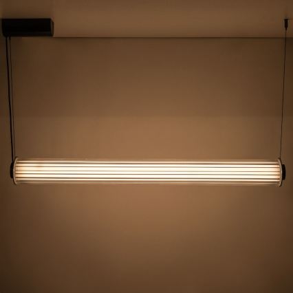 Zuma Line - LED reguliuojama liustra ant laido LED/39W/230V 2700-6500K juoda + nuotolinis valdymas