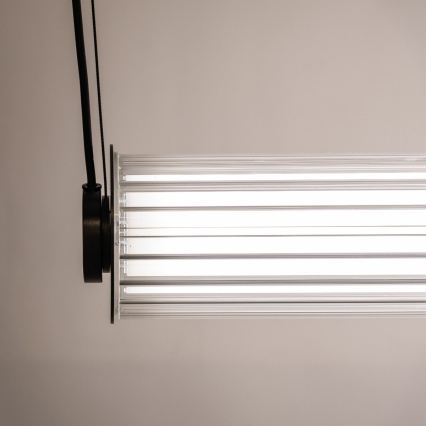 Zuma Line - LED reguliuojama liustra ant laido LED/39W/230V 2700-6500K juoda + nuotolinis valdymas