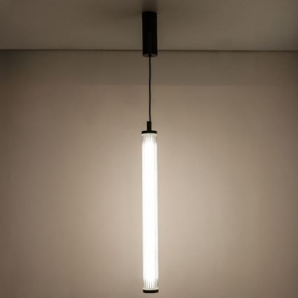 Zuma Line - LED reguliuojamas pakabinamas šviestuvas ant troselio LED/26W/230V 2700-6500K juodas + nuotolinio valdymo pultas