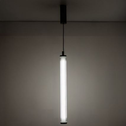 Zuma Line - LED reguliuojamas pakabinamas šviestuvas ant troselio LED/26W/230V 2700-6500K juodas + nuotolinio valdymo pultas