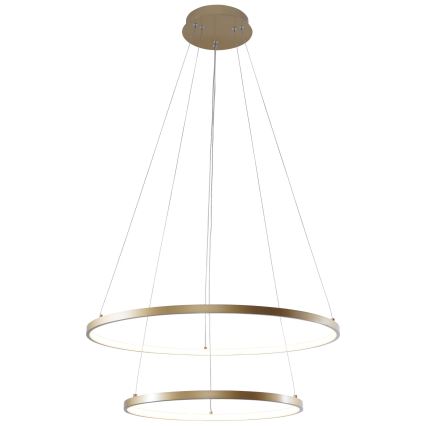 Zuma Line - LED Pakabinamas sietynas LED/50W/230V 3000/4000/6000K diametras 60 cm auksas