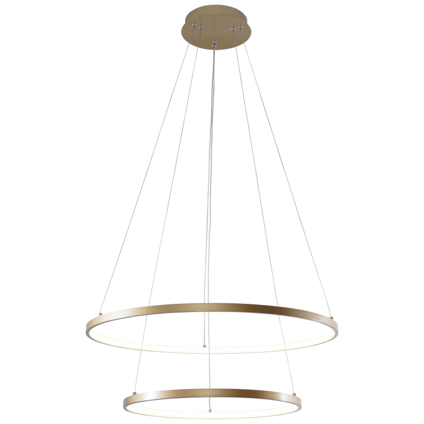 Zuma Line - LED Pakabinamas sietynas LED/50W/230V 3000/4000/6000K diametras 60 cm auksas