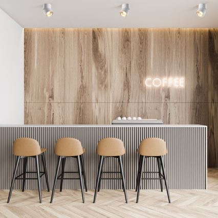 Zuma Line - Taškinis šviestuvas 1xGU10-ES111/15W/230V baltas