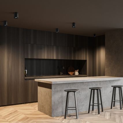 Zuma Line - LED RGBW dimeriuojamas taškinis šviestuvas 1xGU10/6W/230V juodas + nuotolinis valdymas