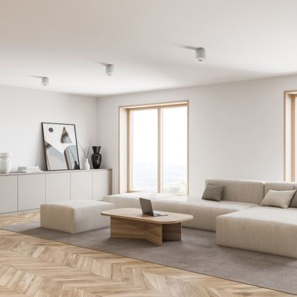 Zuma Line - LED RGBW dimeriuojamas taškinis šviestuvas 1xGU10/4,8W/230V balta + nuotolinis valdymas
