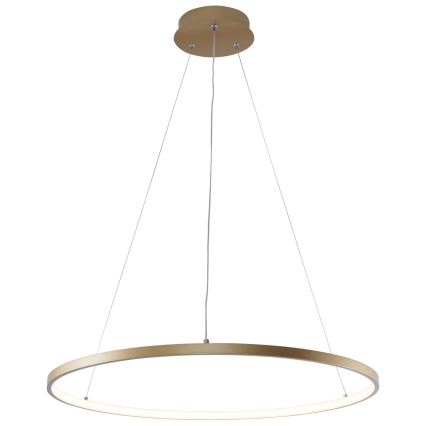 Zuma Line - LED Pakabinamas sietynas LED/28W/230V 3000/4000/6000K diametras 60 cm auksas