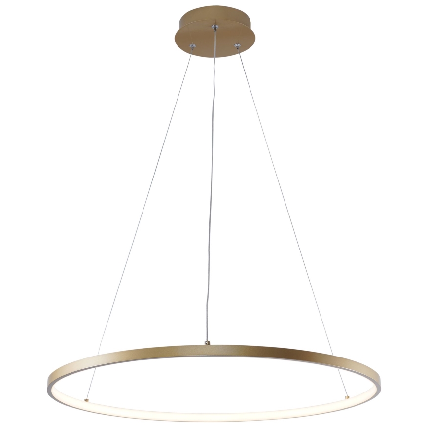Zuma Line - LED Pakabinamas sietynas LED/28W/230V 3000/4000/6000K diametras 60 cm auksas