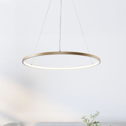 Zuma Line - LED Pakabinamas sietynas LED/36W/230V 3000/4000/6000K diametras 80 cm auksas