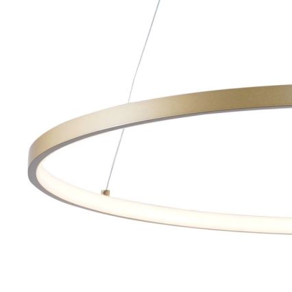 Zuma Line - LED Pakabinamas sietynas LED/36W/230V 3000/4000/6000K diametras 80 cm auksas