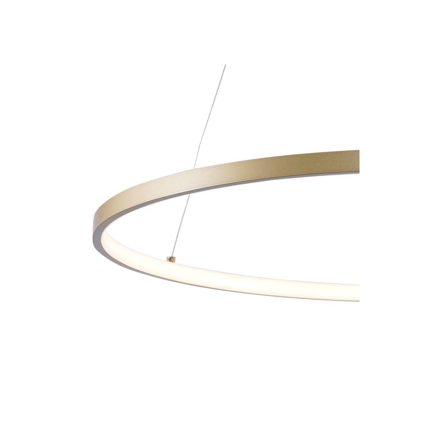 Zuma Line - LED Pakabinamas sietynas LED/36W/230V 3000/4000/6000K diametras 80 cm auksas