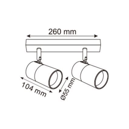 Zuma Line - Akcentinis apšvietimas 2xGU10/50W/230V juoda/auksas