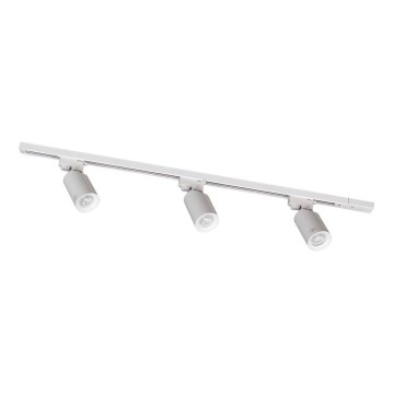 Zuma Line - 3xGU10/35W/230V balta prožektori su sistema
