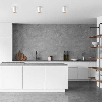 Zuma Line - dimeriuojamas LED RGBW taškinis šviestuvas 1xGU10/6W/230V balta + nuotolinis valdymas