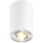 Zuma Line - Akcentinis šviestuvas 1xGU10/50W/230V baltas