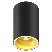 Zuma Line  - Akcentinis šviestuvas 1xGU10/50W/230V juodas/aukso