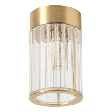 Zuma Line - Auksinis taškinis šviestuvas 1xG9/6W/230V