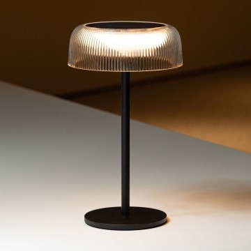 Zuma Line DT33111-LED Pritemdoma saulės įkraunama lempa BLUET LED/2,5W/2000 mAh IP44 juoda