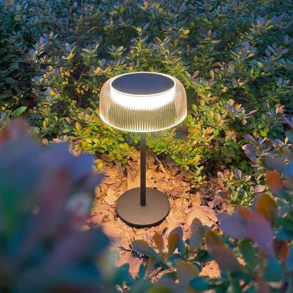 Zuma Line DT33111-LED Pritemdoma saulės įkraunama lempa BLUET LED/2,5W/2000 mAh IP44 juoda