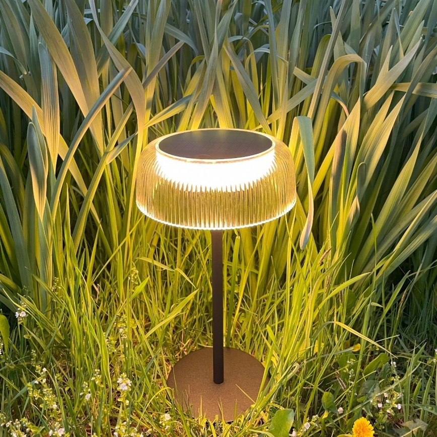 Zuma Line DT33111-LED Pritemdoma saulės įkraunama lempa BLUET LED/2,5W/2000 mAh IP44 juoda
