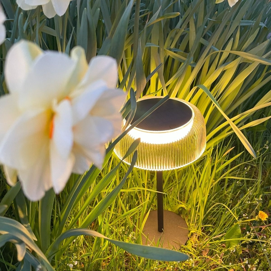 Zuma Line DT33111-LED Pritemdoma saulės įkraunama lempa BLUET LED/2,5W/2000 mAh IP44 juoda