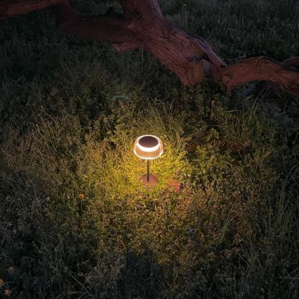 Zuma Line DT33111-LED Pritemdoma saulės įkraunama lempa BLUET LED/2,5W/2000 mAh IP44 juoda