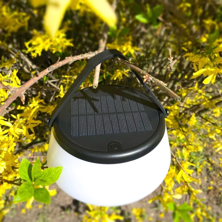 Zuma Line DT36111 - LED Pritemdoma saulės įkraunamas lempa AURE LED/2,2W/2000mAh IP44 juoda