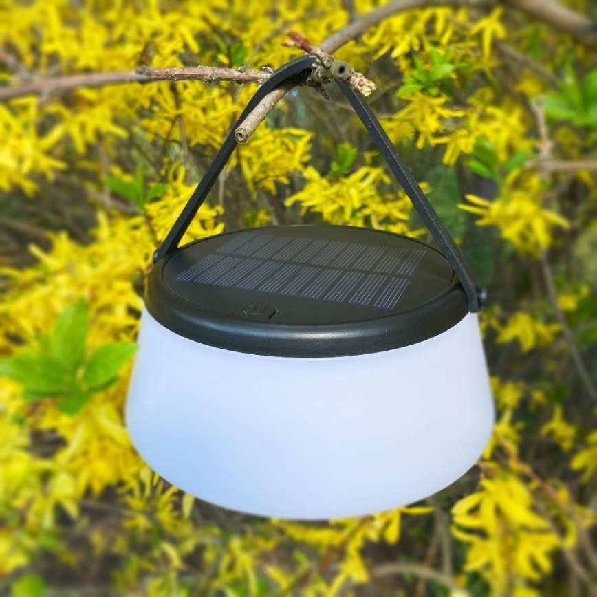 Zuma Line DT36111 - LED Pritemdoma saulės įkraunamas lempa AURE LED/2,2W/2000mAh IP44 juoda