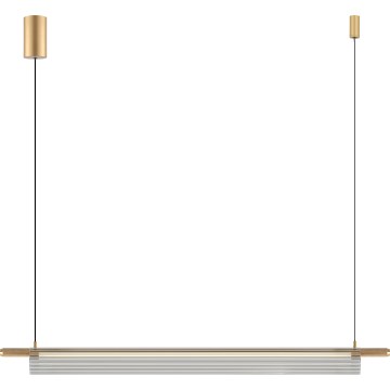 Zuma Line - LED liustra ant laido LED/14W/230V aukso spalvos