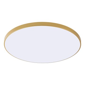 Zuma Line - LED lubinis šviestuvas VERI LED/44W/230V, skersmuo 47 cm, auksinis