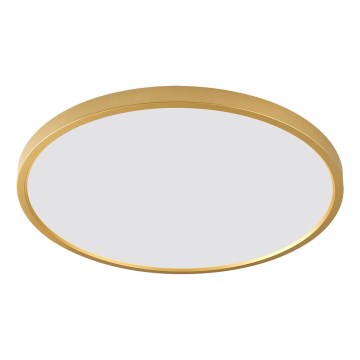 Zuma Line - LED lubų šviestuvas CAMI LED/36W/230V 3000/4000/6000K skersmuo 40 cm auksinis