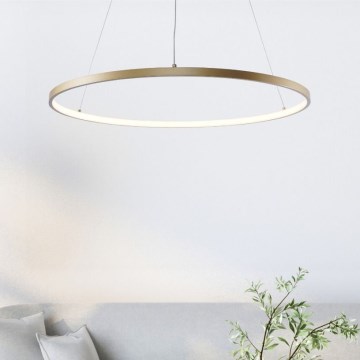 Zuma Line - LED Pakabinamas sietynas LED/28W/230V 3000/4000/6000K diametras 60 cm auksas