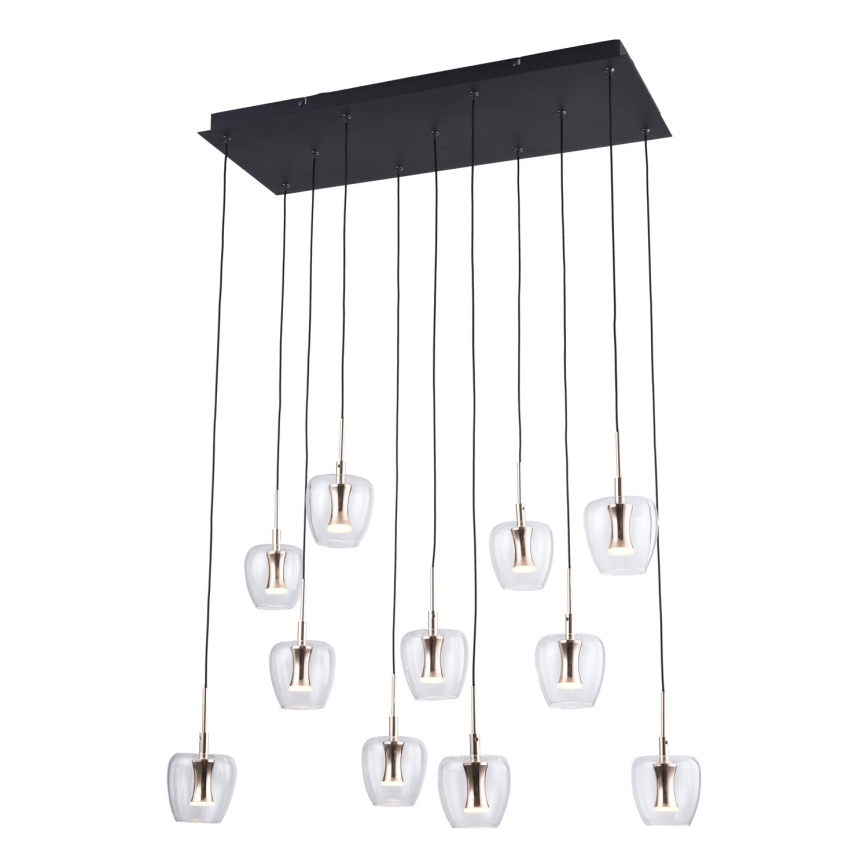 Zuma Line - LED pakabinamas šviestuvas ant laido 11xLED/3W/230V juodas