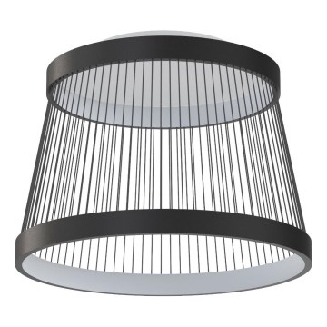 Zuma Line - LED Pritemdomas lubinis šviestuvas LED/32W/230V 2700-6000K juoda + nuotolinio valdymo pultas