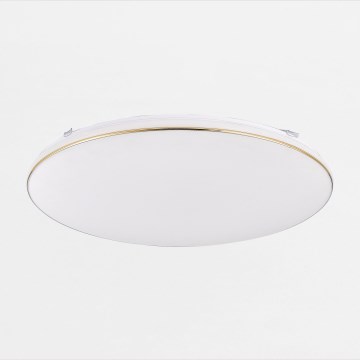 Zuma Line - LED Pritemdomas lubinis šviestuvas OMAR LED/48W/230V diametras 53 cm auksas