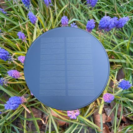 Zuma Line - LED Pritemdomas saulės įkraunamas stalinis šviestuvas LED/2W/2000 mAh IP44 juoda