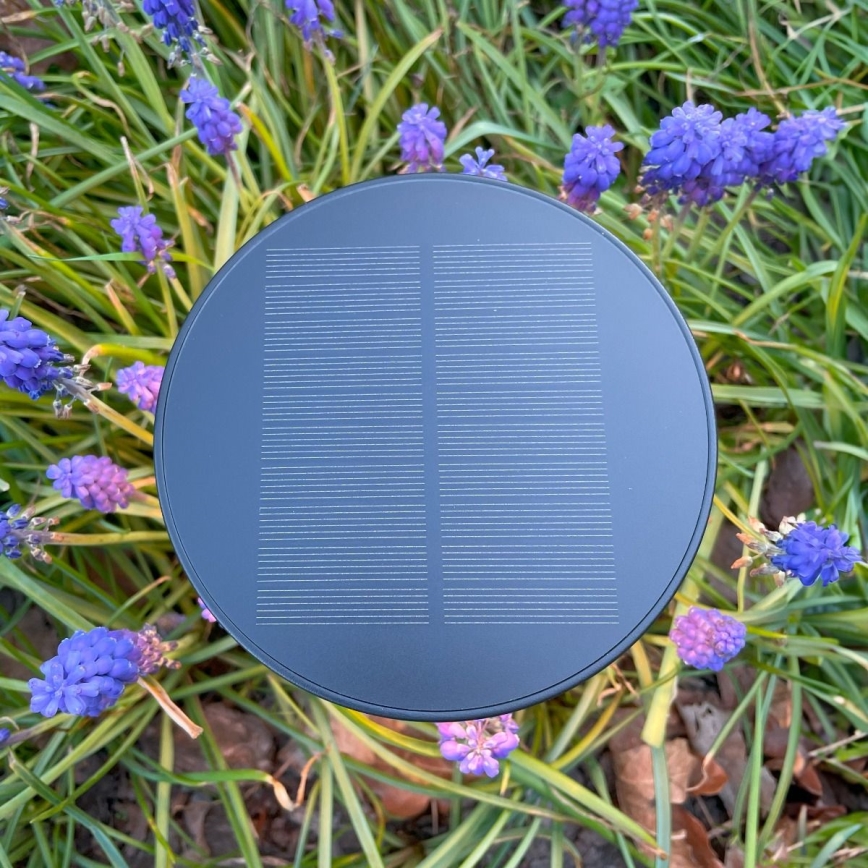 Zuma Line - LED Pritemdomas saulės įkraunamas stalinis šviestuvas LED/2W/2000 mAh IP44 juoda
