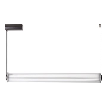 Zuma Line - LED reguliuojama liustra ant laido LED/39W/230V 2700-6500K juoda + nuotolinis valdymas